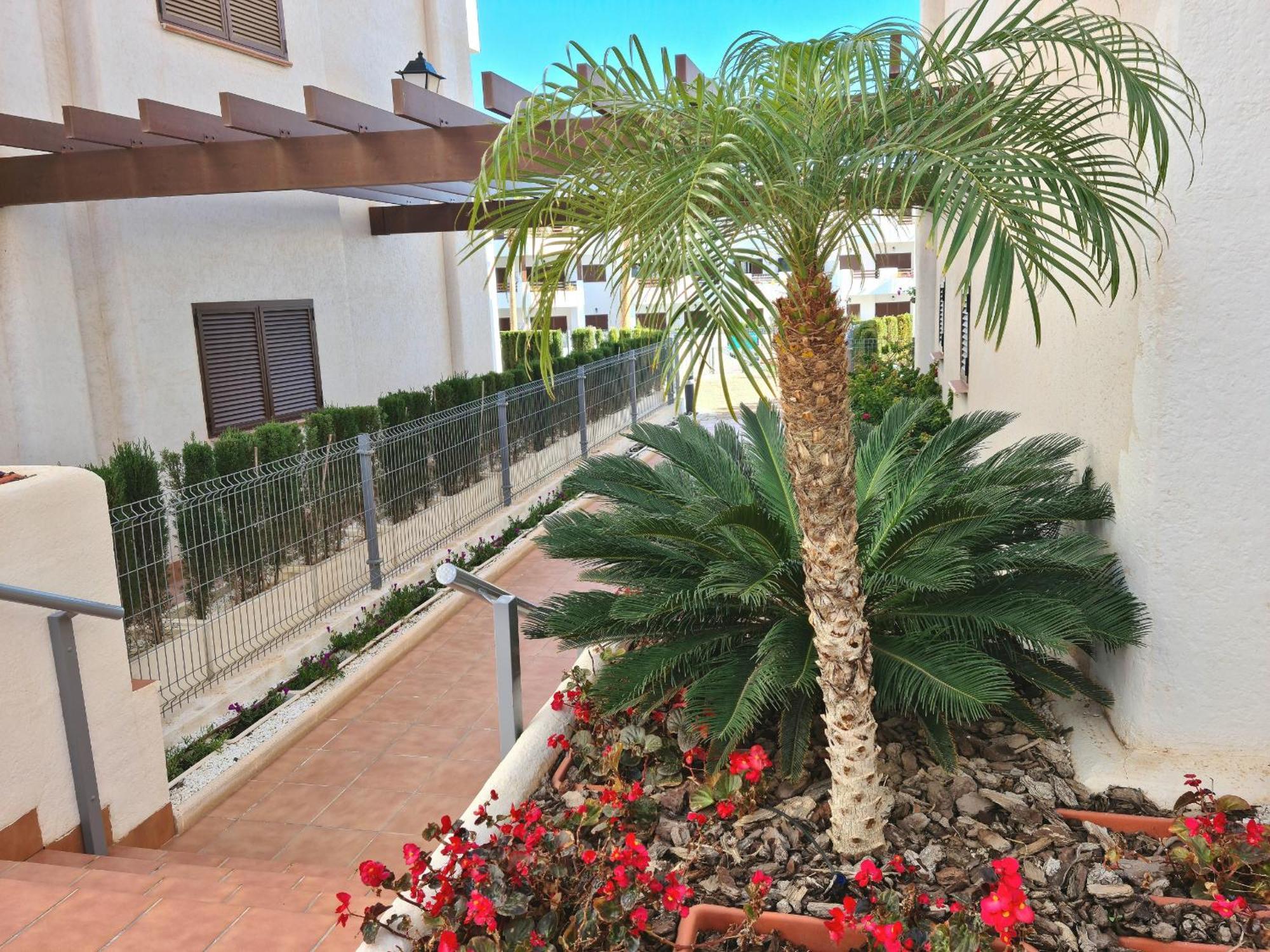 El Sueno Apartment San Juan De Los Terreros Bagian luar foto