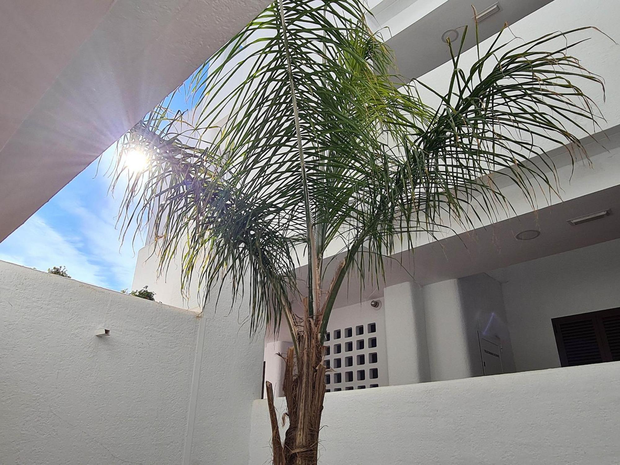 El Sueno Apartment San Juan De Los Terreros Bagian luar foto